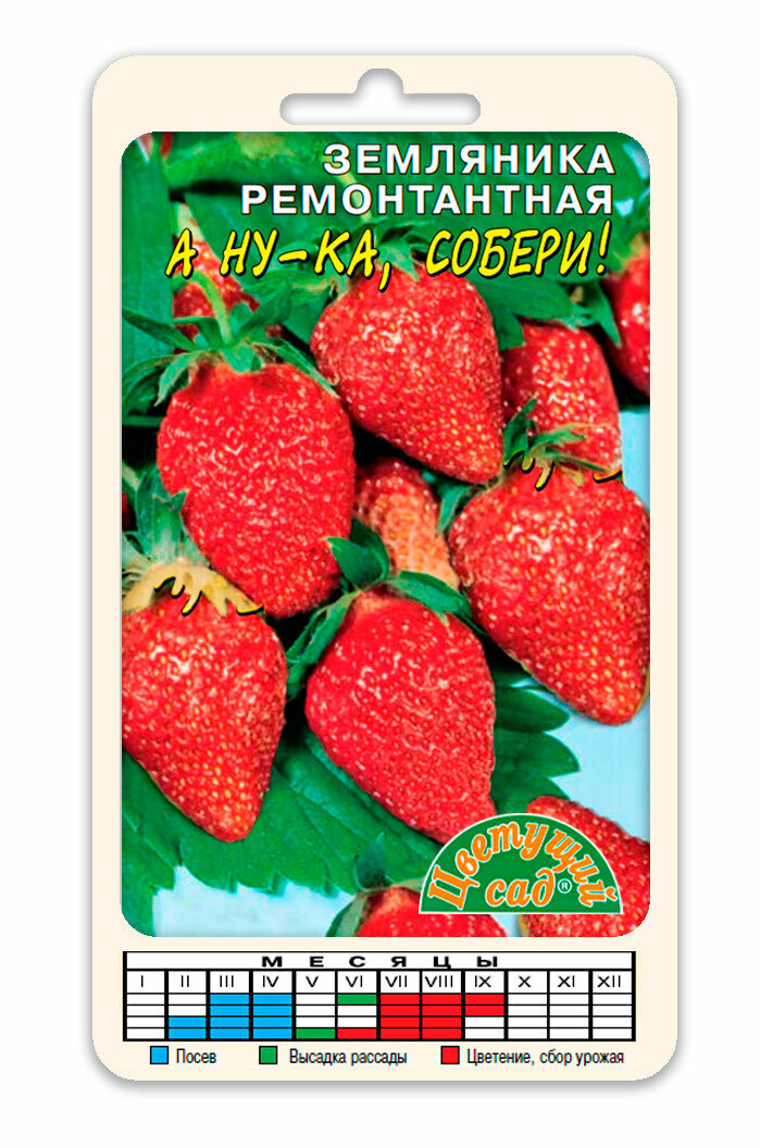 Земляника ампельная Тоскана F1 (Семена БИОТЕХНИКА 5шт)