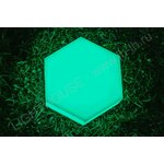 Тротуарная плитка вибропрессованный кирпич 200х100х60 - Изображение 1