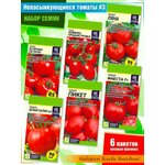 Семена цветов Хризантема увенчанная махровая Смесь, 0,1 г - Изображение 9