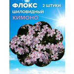 Семена цветов Хризантема увенчанная махровая Смесь, 0,1 г - Изображение 3